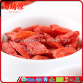 Goji-Fruttobacchie di Goji-Taube compare goji tibetano